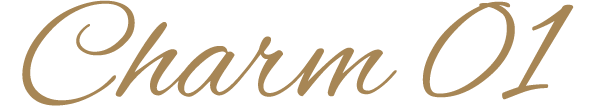 Charm 01