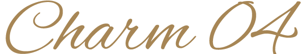 Charm 04