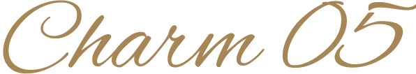 Charm 01